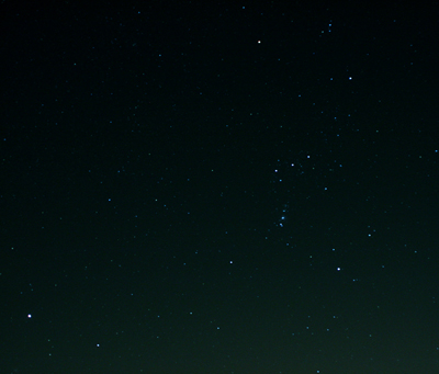 Orion & Sirius