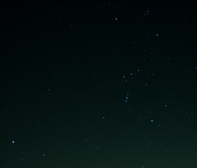 Orion & Sirius