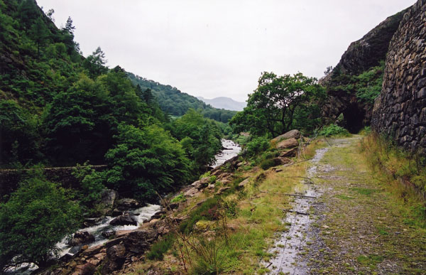 Wal008